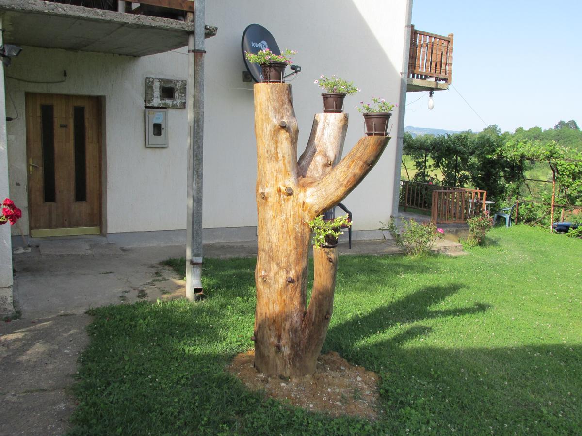 Country House Roman Doboj Ngoại thất bức ảnh